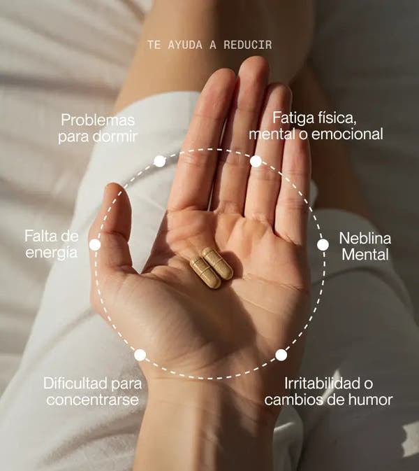 Superlativa Daily - Antiestrés