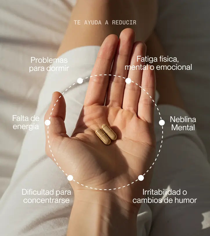 Superlativa Daily - Antiestrés